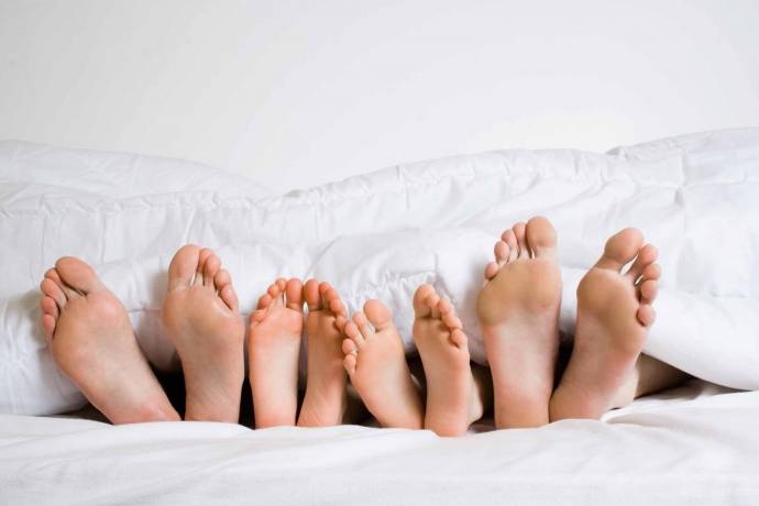 Cómo elegir bien su relleno nórdico