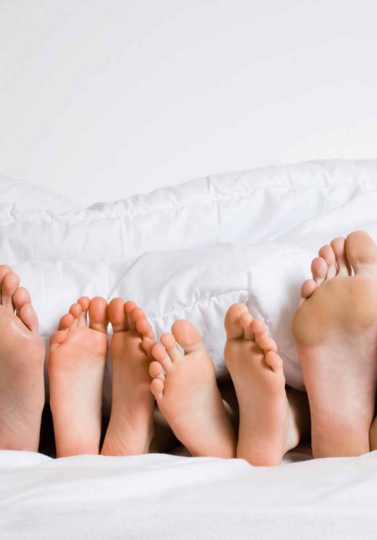 Cómo elegir bien su relleno nórdico