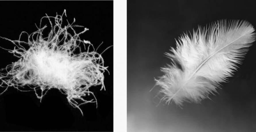 Qué relleno nórdico comprar