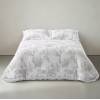 CONJUNTO EDREDON ESTAMPADO FLORAL CON VOLANTE (beige, Cama 105:200x270)