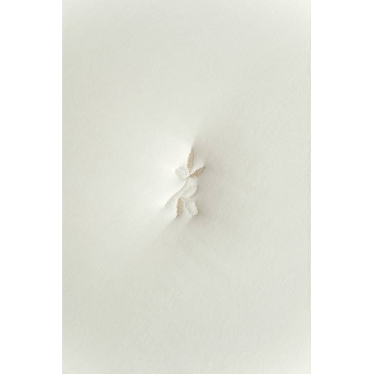 CONJUNTO EDREDÓN BORDADO HOJAS Y FUNDAS DE COJÍN (natural, Cama 090:180x270)